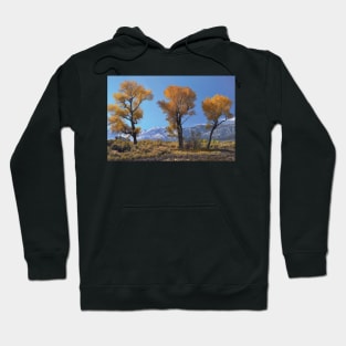 Cottonwood Trees Fall Foliage Carson Valley Hoodie